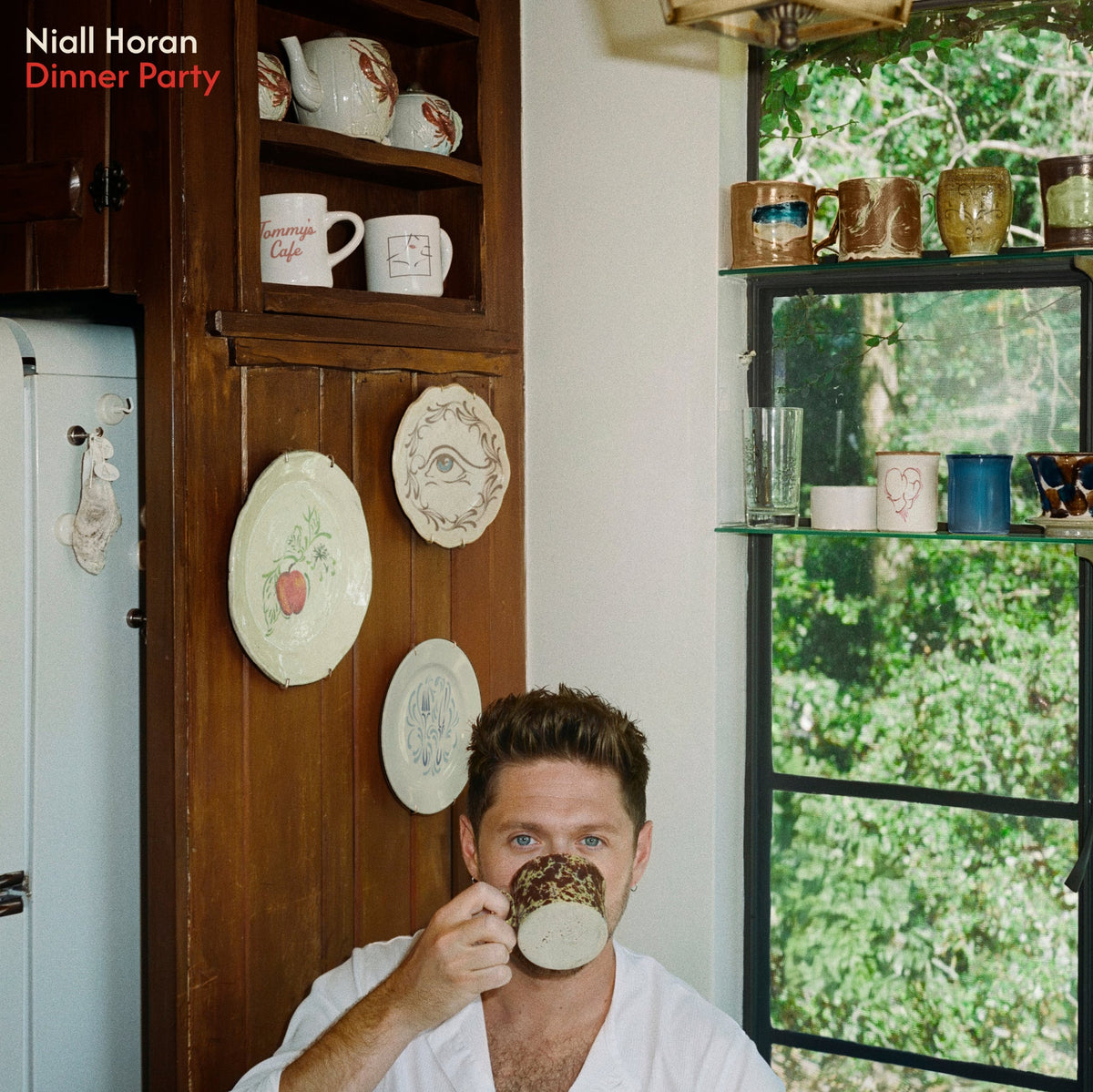 Dinner Party (Standard "Porcelain" Edition) - Niall Horan [Colour Vinyl]