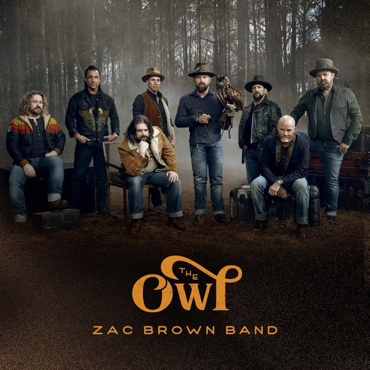 Zac Brown Band The Owl [CD]