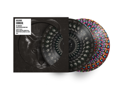 Caracal (10th Anniversary Zoetrope Edition) - Disclosure [Colour Vinyl]