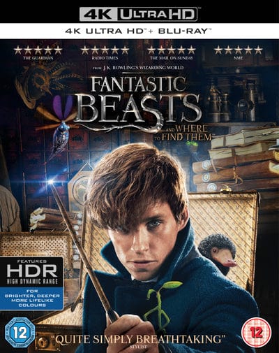 Fantastic Beasts and Where to Find Them - David Yates [4K UHD]