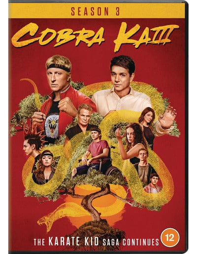 Cobra Kai: Season 3 [DVD]