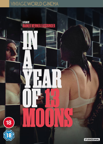 In a Year With 13 Moons - Rainer Werner Fassbinder [DVD]