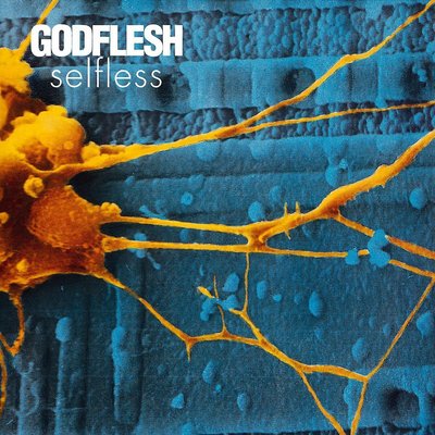 Selfless - Godflesh [CD]