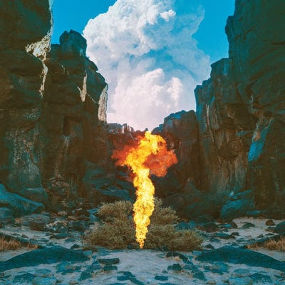 Migration:   - Bonobo [CD]