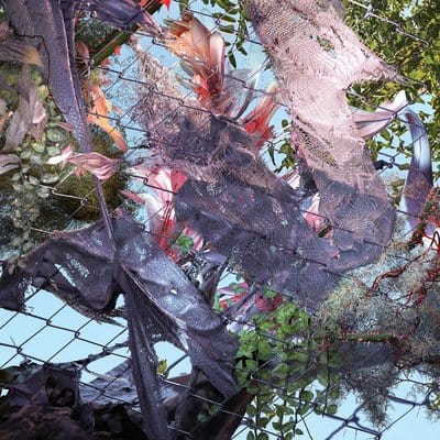 Tears in the Club:   - Kingdom [CD]
