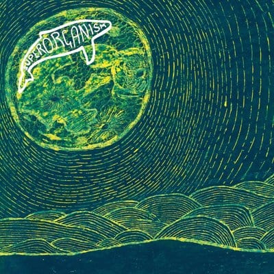 Superorganism:   - Superorganism [CD]