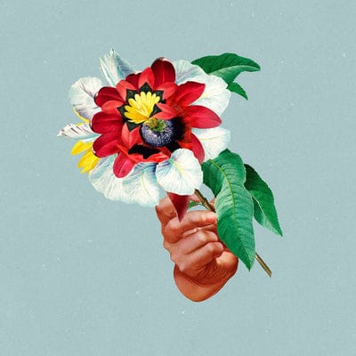 Kingdoms in Colour:   - Maribou State [CD]