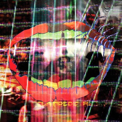 Centipede Hz - Animal Collective [VINYL]