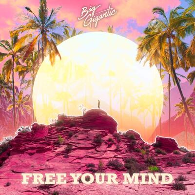 Free Your Mind:   - Big Gigantic [CD]