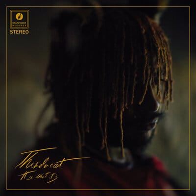 It Is What It Is:   - Thundercat [CD]