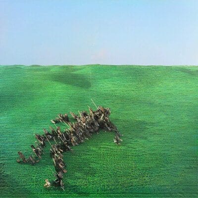 Bright Green Field:   - Squid [CD]
