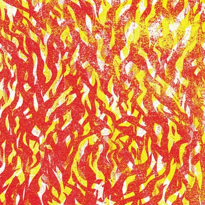 Fire - The Bug [CD]