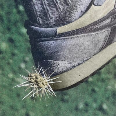 Tread:   - Ross From Friends [CD]