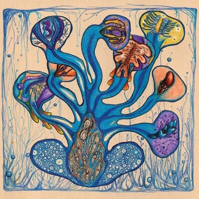 Fleuves De L'Âme:   - Houeida Hedfi [CD]