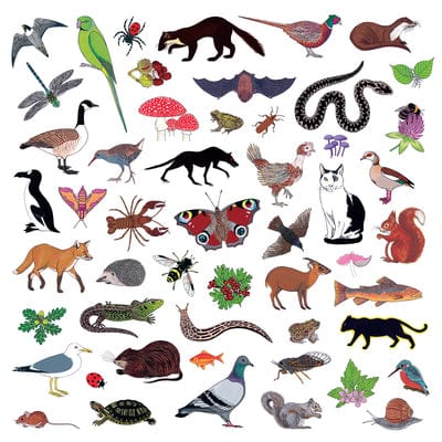 Island of Noise:   - Modern Nature [CD]