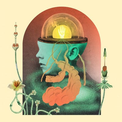 Akousmatikous - Salami Rose Joe Louis [CD]