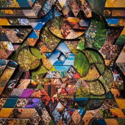 Les Jardins Mystiques- Volume 1 - Miguel Atwood-Ferguson [CD]