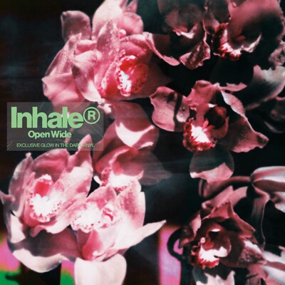 Open Wide - Inhaler [VINYL]