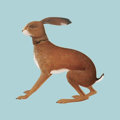 Lookaftering (Expanded Edition) - Vashti Bunyan [CD]