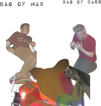 Bag of Max Bag of Cass - Zach Hill & Lucas Abela [VINYL]