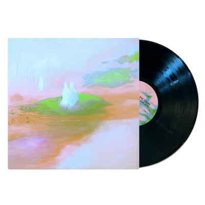Staring at the Sun (Deluxe Edition) - Hotel Fiction [VINYL Limited Edition]
