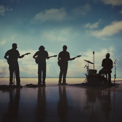 The Fearless Flyers V - The Fearless Flyers [CD]