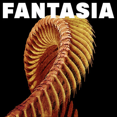 Fantasia - Slift [Colour Vinyl]