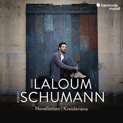 Robert Schumann: Novelletten/Kreisleriana - Robert Schumann [CD]