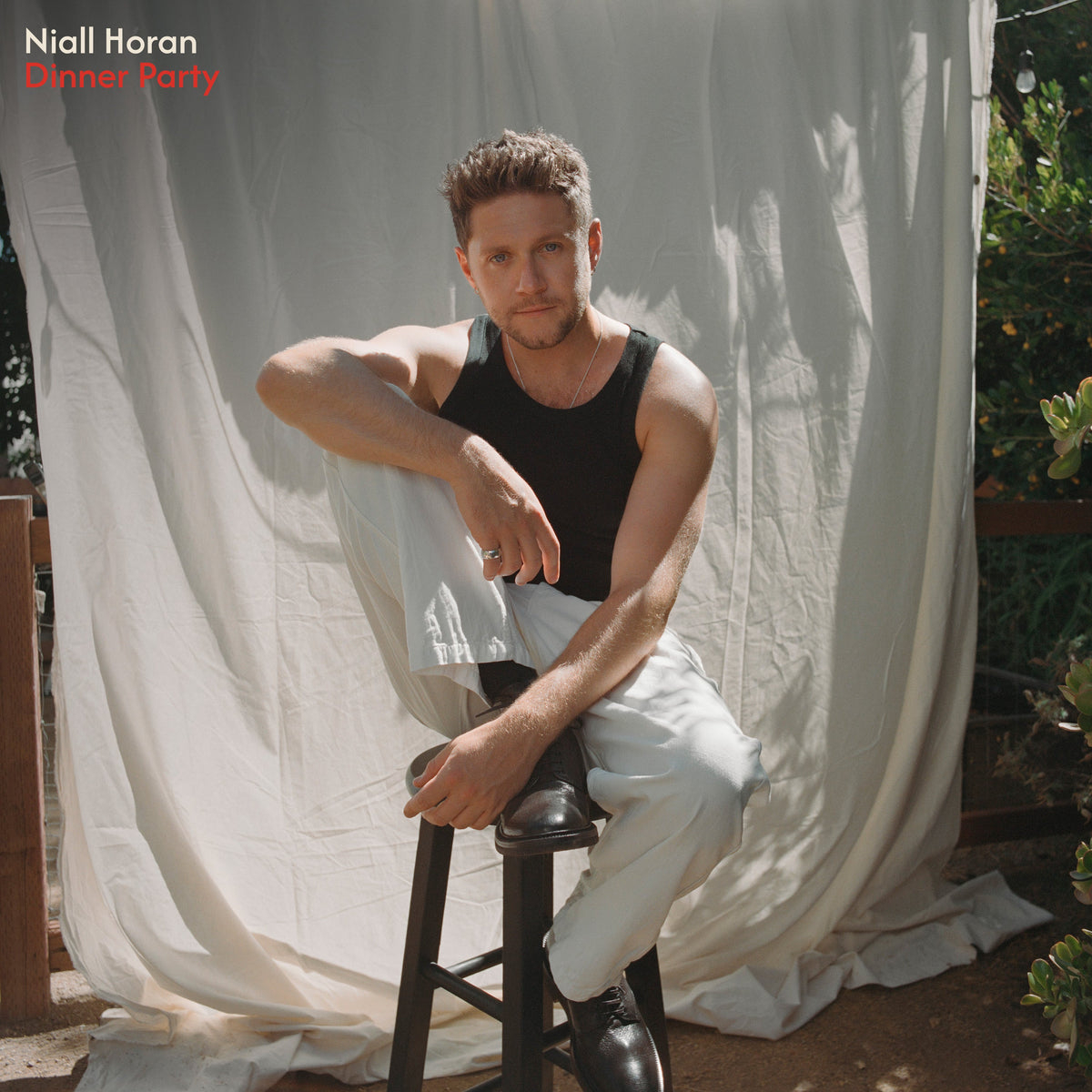 Dinner Party (Golden Discs Exclusive) - Niall Horan [Colour Vinyl]