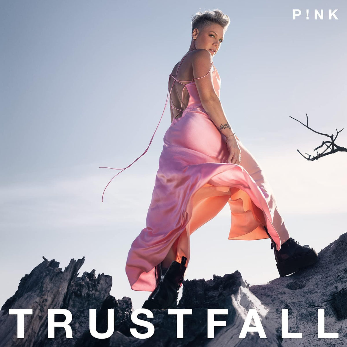Trustfall:   - P!nk [CD]