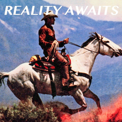 Reality Awaits - The Strokes [VINYL]