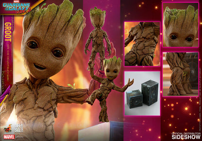 Guardians Of The Galaxy Vol2 10 Inch Action Figure Life Size Masterpiece Series - Groot Exclusive Hot Toys 903344